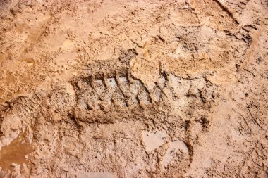 Çamurda lastik izleri ve ayakkabı izleri var.