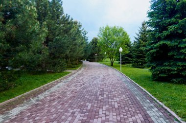 path in the park paved with cobblestones