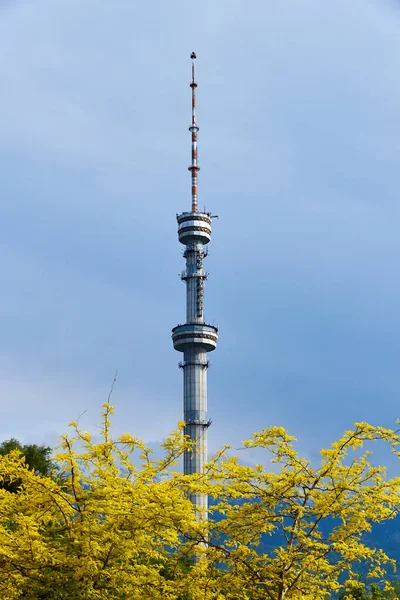 Almaty Kazakhstan May 2021 View Tower Distance — Stock Photo, Image
