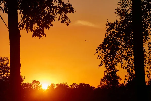 Röd Himmel Vid Solnedgången Silhuetter Träd Och Flygande Plan Solnedgången — Stockfoto