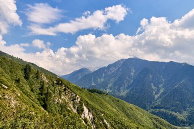 Uzağa uzanan ladin kaplı dağ yamaçları. dağ manzarası