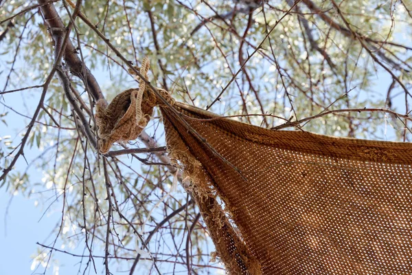 遮阳篷织物的一角 用来遮挡绑在树上的阳光 — 图库照片