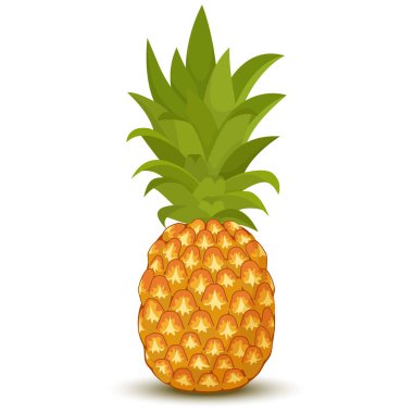Pineapple isolated on a white background. Vector illustration of tropical fruit in cartoon flat style.