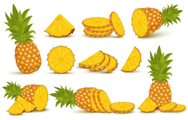 Pineapple set. Pineapple collection. Whole and sliced pineapple isolated on white background with clipping path