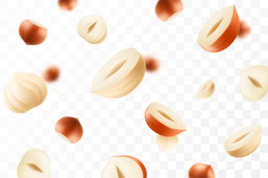 Uçan fındık, şeffaf arka planda izole, seçici odaklanma. Bulanık efektli uçan fındık. Reklam, ambalaj, afiş ve poster için kullanılabilir. Gerçekçi 3d vektör illüstrasyonu