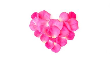 Beyaz arka planda kalp şeklinde pembe gül yaprakları..