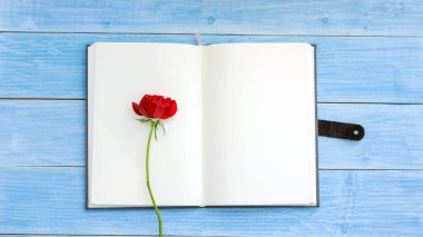 Not defterinde kırmızı gül ve mavi ahşap masa.