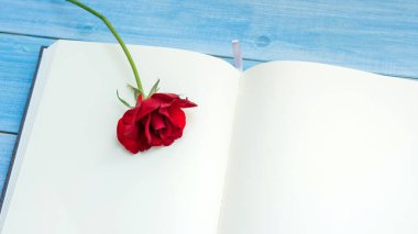 Not defterinde kırmızı gül ve mavi ahşap masa.