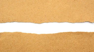 Kahverengi kağıt beyaz arka planda bir yırtık..