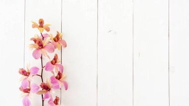 Beyaz ahşap bir masada mor orkide çiçeği.