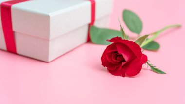 Pembe arka planda kırmızı gül ve hediye kutusu.