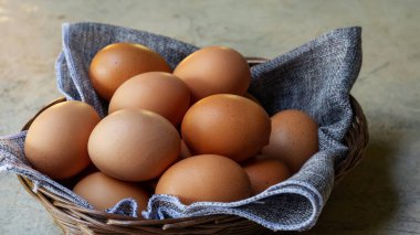 Gri arka planda sepette tavuk yumurtası.