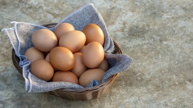 Gri arka planda sepette tavuk yumurtası.