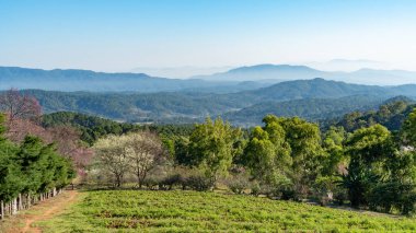 Tayland 'ın kuzeyindeki Khun Wang Kraliyet Proje Geliştirme Merkezi' ndeki dağ sıralarının görüntüsü..
