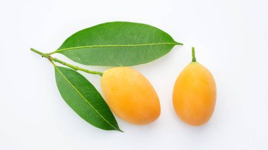 Beyaz arka planda sarı Marian erik meyvesi.