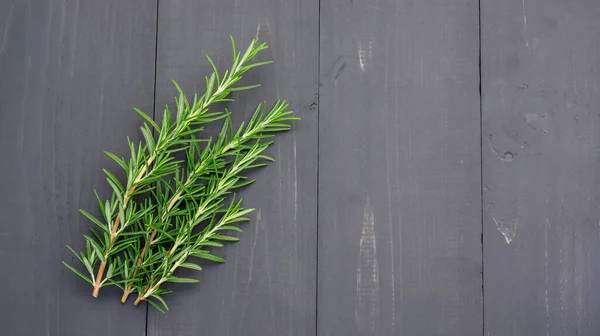 Green Rosemary Plant Black Wooden Table — Stock Photo, Image
