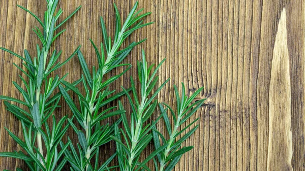 Groene Rozemarijn Plant Een Houten Tafel — Stockfoto