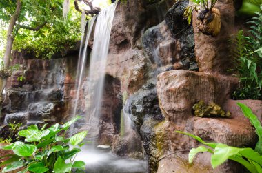 Ormanda kayaçların Falls