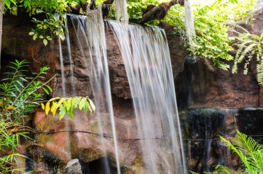 Ormanda kayaçların Falls