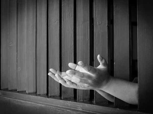 Handle Steel Cage,imprison — Stock Photo, Image