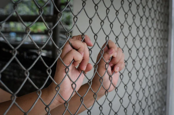 Manejar jaula de acero, encarcelar —  Fotos de Stock