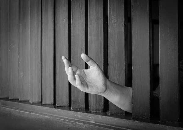 Poignée Cage en acier, prison — Photo