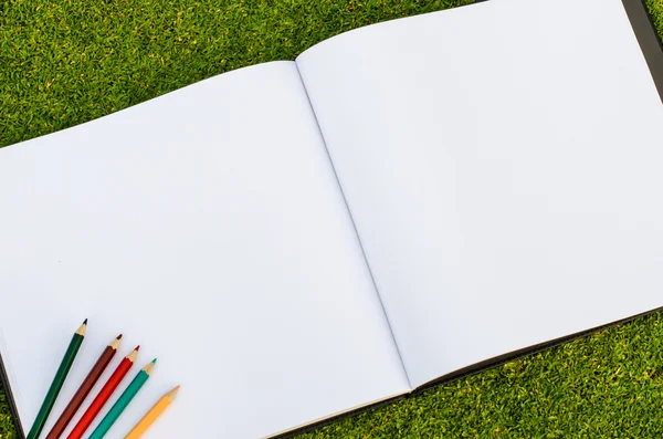 Lápis de cor e caderno de esboços na grama verde fresca da primavera — Fotografia de Stock