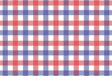 Ekoseli kumaş dokusunu dikişsiz şekilde kontrol et. Vektör çizimi. (kırmızı ve mavi)