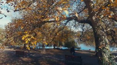 AUTUMN WALK Roath Park CARDIFF WALES Cardiff, Wales - 23 Ekim 2020: Roath Park 'ı gezen yürüyüşçüler Coronavirus kurallarına güvenli mesafe koymak için gölün etrafında tek yönlü bir sistem izlemelidir. Bölge 2 hafta boyunca tecrit altında tutulacak.