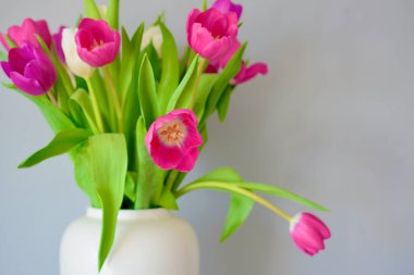 Spring summer flower aesthetic with copyspace for text, logos, quotes  and messages. Pink tulips with green leaves deep passionate popular flowers