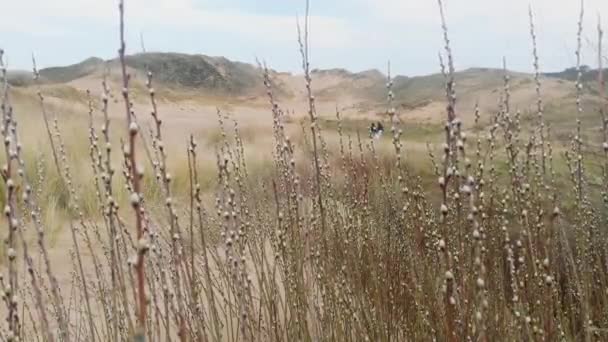 Die Wunderschönen Sanddünen Bei Merthyr Mawr Der Küste Von Südwales — Stockvideo