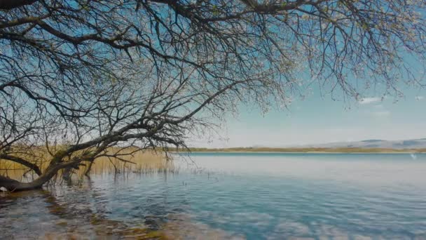 Filmes Árvores Que Refletem Água Parada Lago Reserva Natural Kenfig — Vídeo de Stock