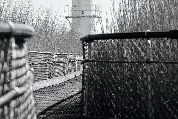 Vuurtoren Het Natuurreservaat Newport Wetlands Heeft Industrieterreinen Teruggewonnen Die 2000 — Stockfoto