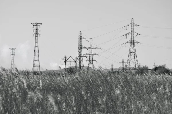 Newport Wetlands Nature Reserve Regenerowane Tereny Przemysłowe Utworzone 2000 Celu — Zdjęcie stockowe