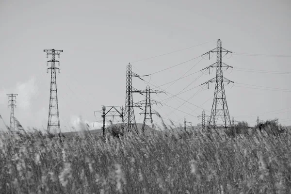 Newport Wetlands Nature Reserve Regenerowane Tereny Przemysłowe Utworzone 2000 Celu — Zdjęcie stockowe