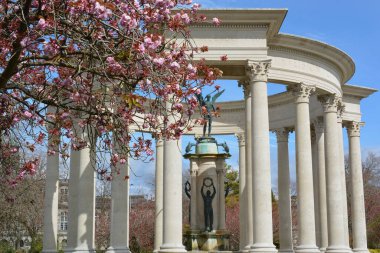 Cardiff şehir merkezindeki Alexandra Gardens 'taki Galler savaş anıtı çiçek açan ağaçlar ve çiçeklerle birlikte eski sivil binalar arasında yer alıyor.