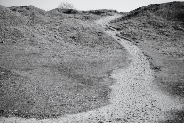 Les Dunes Sable Merthyr Mawr Bridgend Une Réserve Naturelle Désignée — Photo