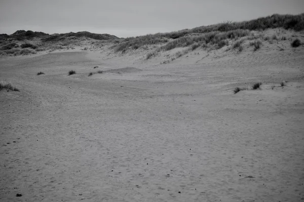 Zandduinen Merthyr Mawr Bridgend Een Aangewezen Natuurgebied Met Grassen Planten — Stockfoto