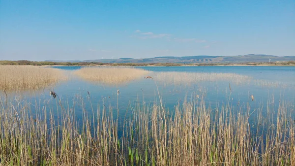 Λίμνες Και Αμμόλοφοι Ένα Welsh Παράκτιο Φυσικό Καταφύγιο Μια Σαφή — Φωτογραφία Αρχείου