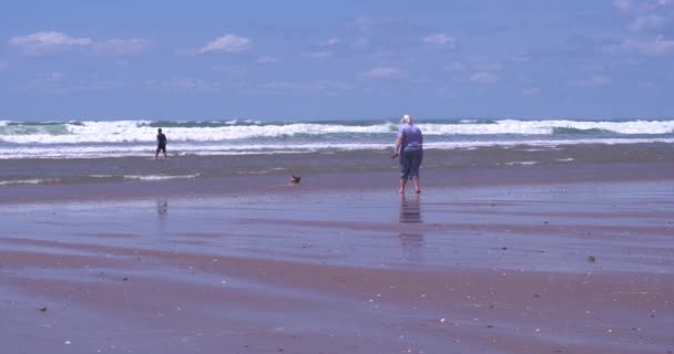 Gower Swansea Wales Juni 2021 Man Hund Och Barn Strand — Stockvideo