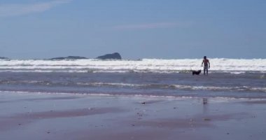 Gower, Swansea, Galler - 14 Haziran 2021 Gower Yarımadası 'ndaki bir plajda köpek ve çocuk. Galler sahilleri, diğer ailelerden uzak durmak isteyen aileler için güvenli bir seçenek sunuyor