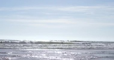 Güneş, Galler 'in Swansea yakınlarındaki Gower Penninsula' daki Llangennith Sahili 'nde dalgaların üzerine ışıldıyor. Dalgalarda yüzen ve suya çarpan sörfçülerin küçük siyah siluetlerini görebilirsiniz..