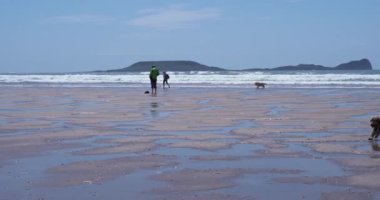 Gower, Swansea, Galler - 14 Haziran 2021 Gower Yarımadası 'ndaki bir plajda köpek ve çocuk. Galler sahilleri, diğer ailelerden uzak durmak isteyen aileler için güvenli bir seçenek sunuyor