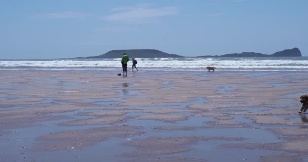 Gower Swansea Wales Ιουνίου 2021 Άντρας Σκύλος Και Παιδί Παραλία — Αρχείο Βίντεο