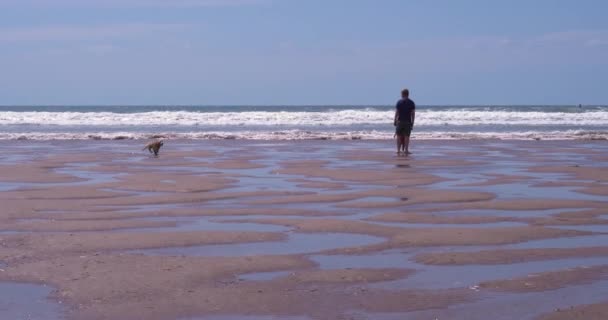 Gower Swansea Wales Juni 2021 Mann Hund Und Kind Einem — Stockvideo