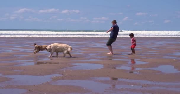 Gower Swansea Wales Ιουνίου 2021 Άντρας Σκύλος Και Παιδί Παραλία — Αρχείο Βίντεο