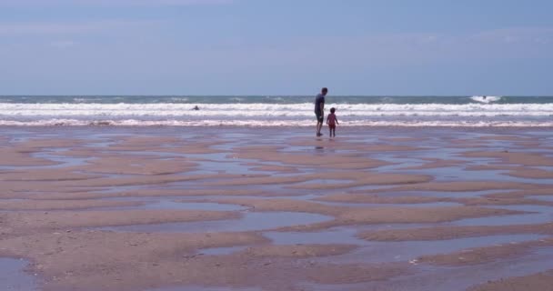 Gower Swansea Gales Junio 2021 Hombre Perro Niño Una Playa — Vídeos de Stock