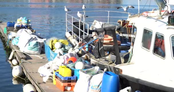 Swansea Wales Juni 2021 Den Livliga Småbåtshamnen Och Strandpromenaden Swansea — Stockvideo