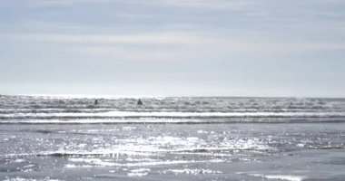 Llangennith, Gower Yarımadası 'nın güneybatı Galler' de harika bir sörf plajı. Güneş, Galler 'in Swansea yakınlarındaki Gower Yarımadası' ndaki Llangennith Sahili 'nde dalgaların üzerine ışıldıyor. Dalgalarda sörf yapan sörfçülerin suya düştüğünü görebilirsiniz..