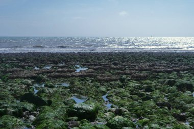 Yakından, Brighton yakınlarındaki Birling Gap 'teki kumsalın makro görüntüleri. Kayaların, çakıl taşlarının, deniz yosunlarının ve kıyı şeridinin üzerinde tebeşirli beyaz uçurumlar var.. 